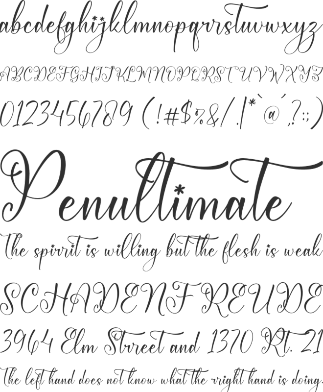 Qerginas Frenchstyle Script font preview