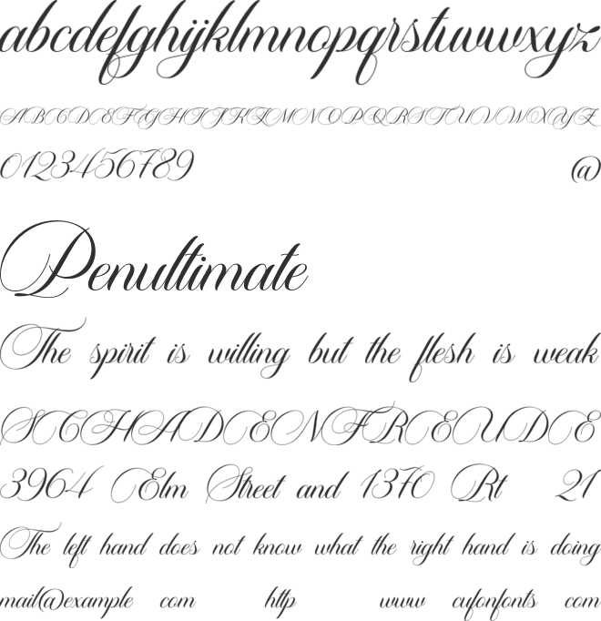 Carista Calligraphy font preview