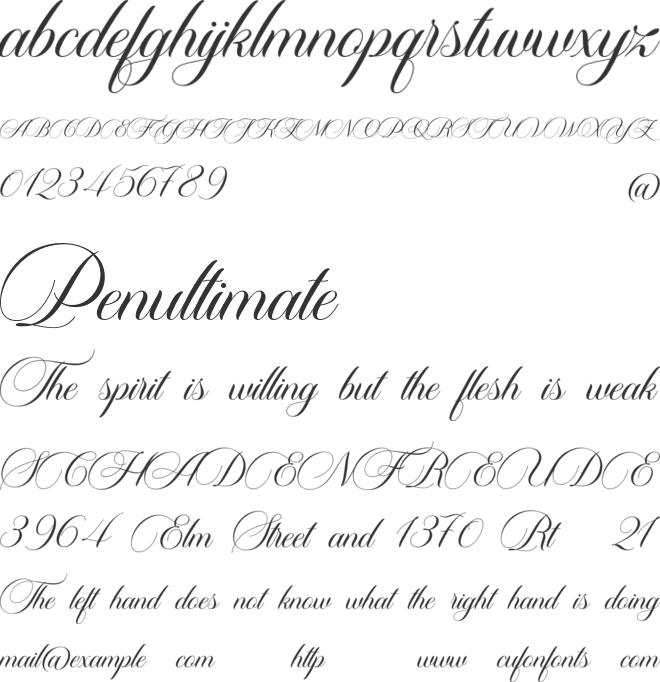 Carista Calligraphy font preview