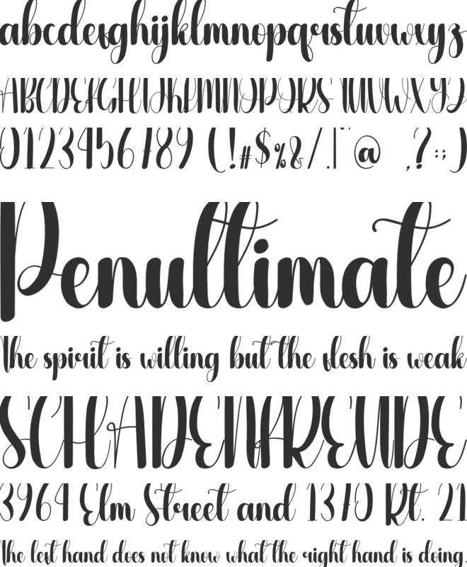 Beach Waves font preview