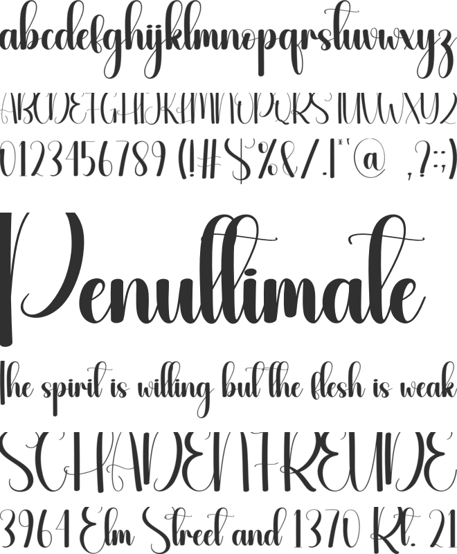 Dried Leaves font preview
