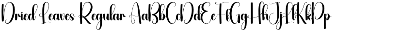 Dried Leaves Regular font