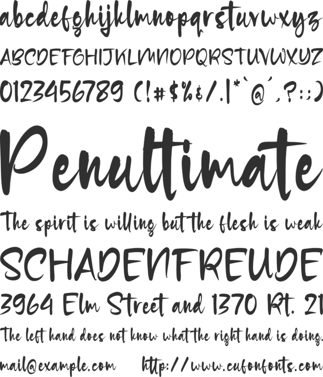Roughfest Wainted font preview