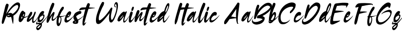 Roughfest Wainted Italic font