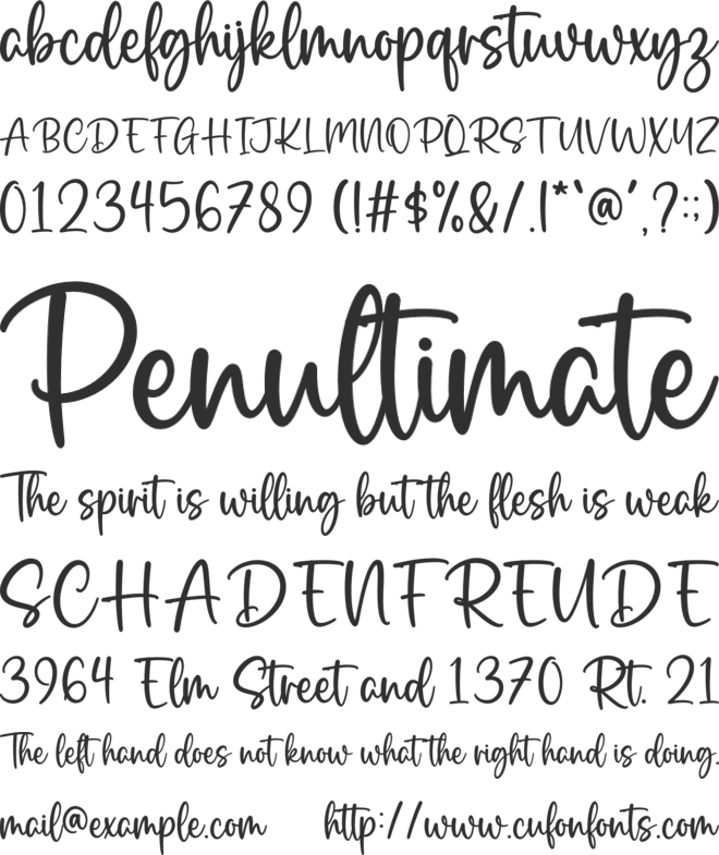 Palm Spring font preview
