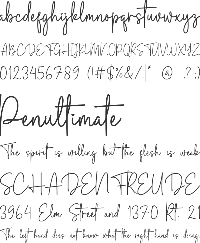 Browny Cakes Signature font preview