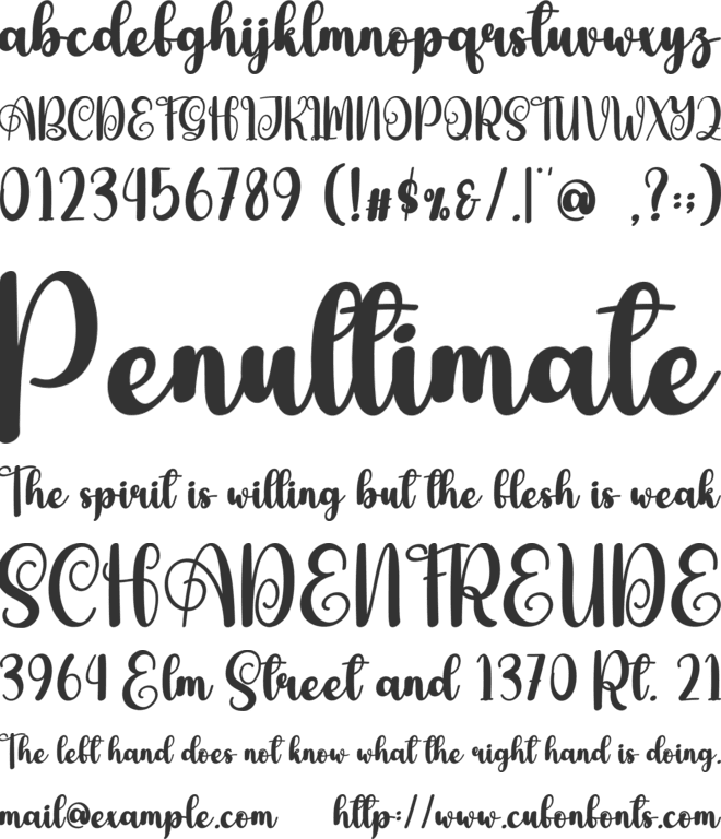 Achieved font preview