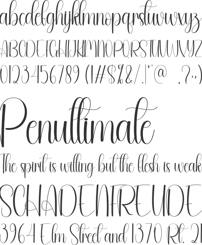 Dailylife font preview