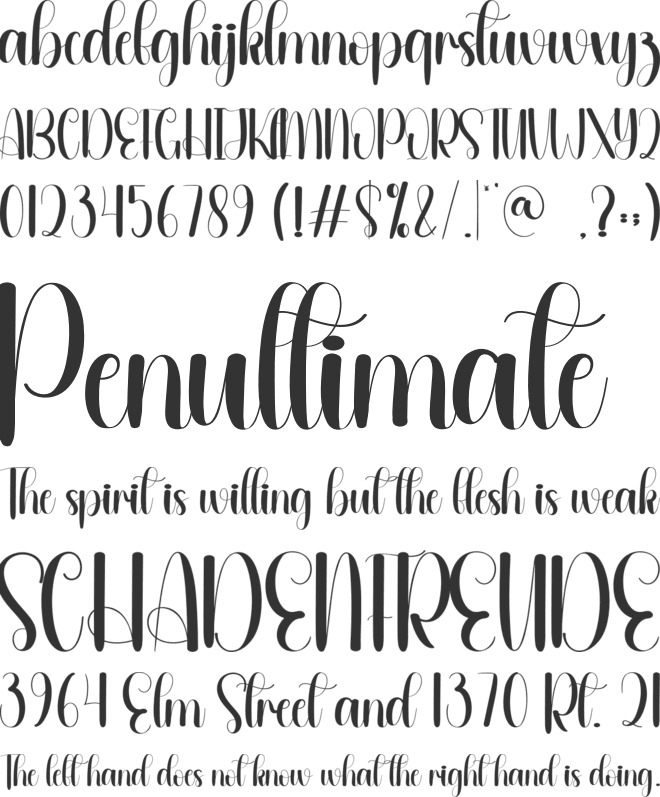 Wilderness font preview