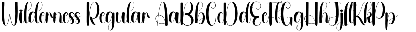 Wilderness Regular font