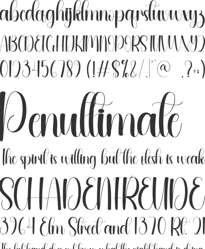 Wandering font preview