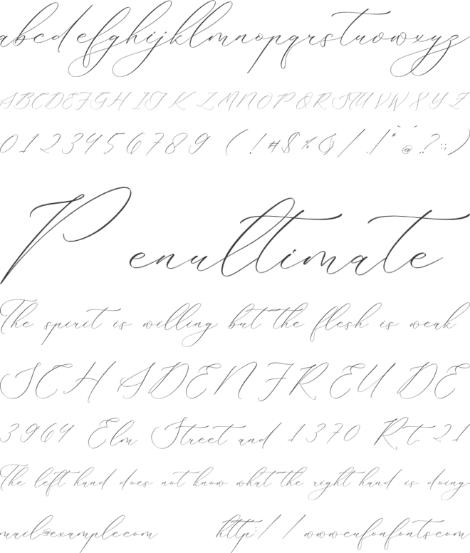 Hacburk Matrositia Script font preview