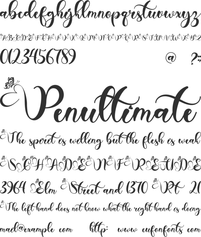Christmas Betterlove font preview