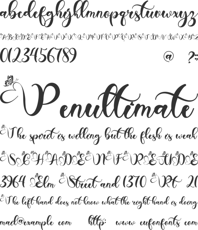 Christmas Betterlove font preview