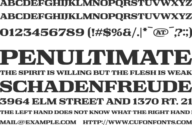 Lost Type 2023 font preview