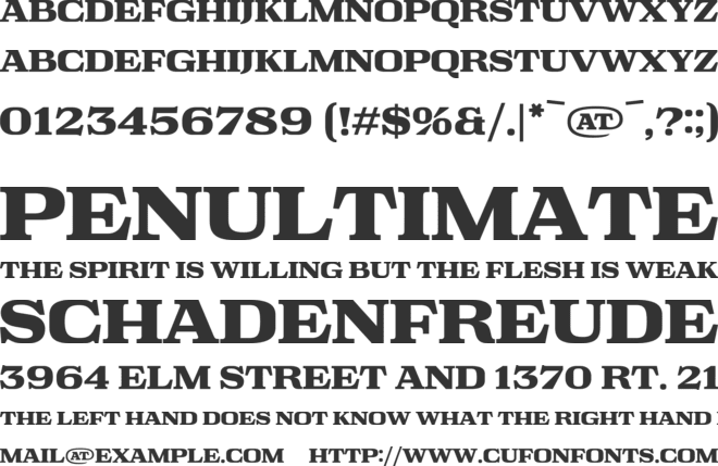 Lost Type 2023 font preview