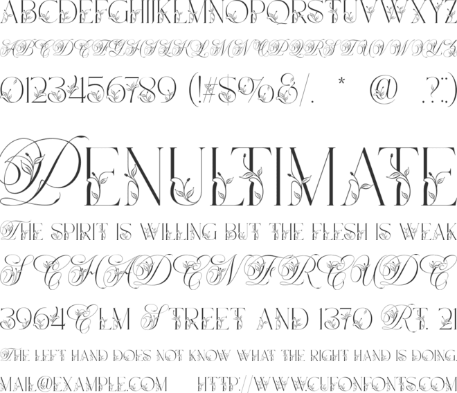 Narony font preview
