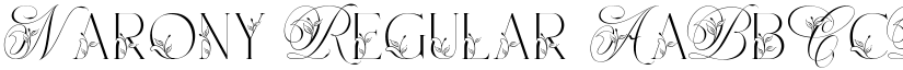 Narony Regular font