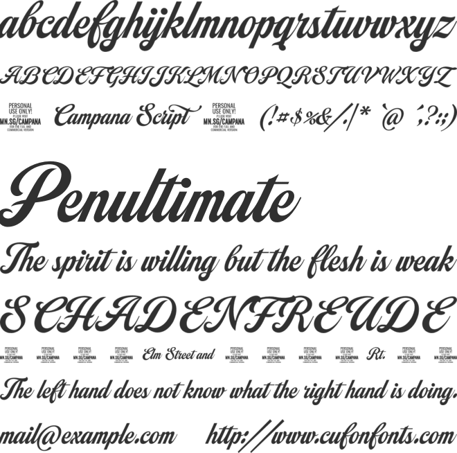 Campana Script PERSONAL USE font preview