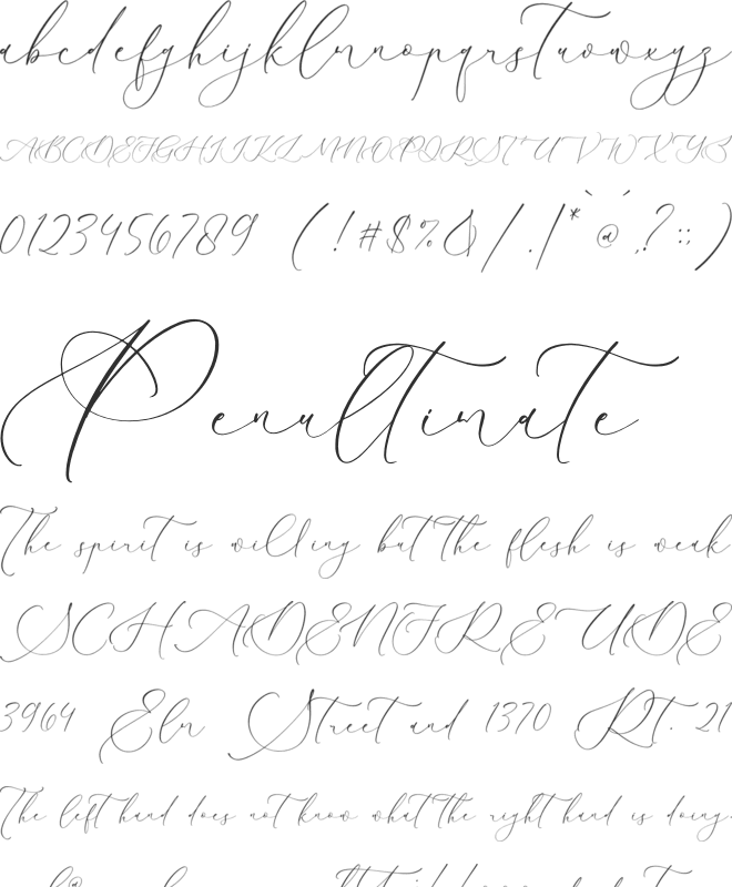Raligosh Mendophelia Script font preview