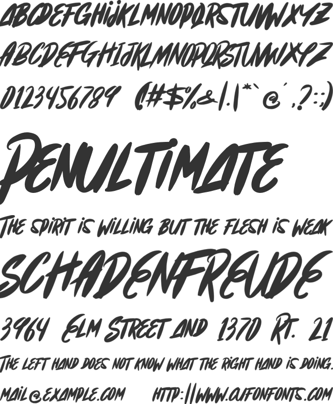 Champine Black font preview