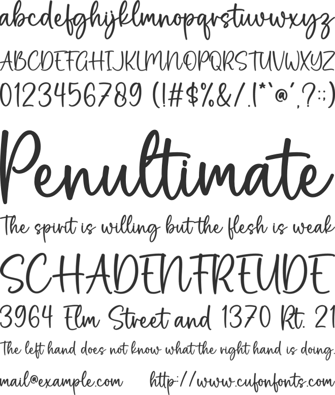 Stay Wild font preview