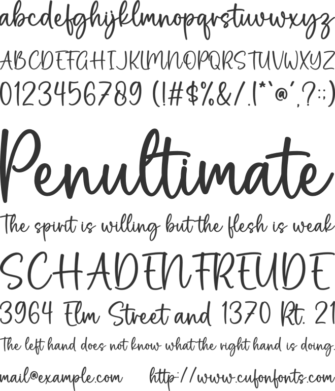 Stay Wild font preview