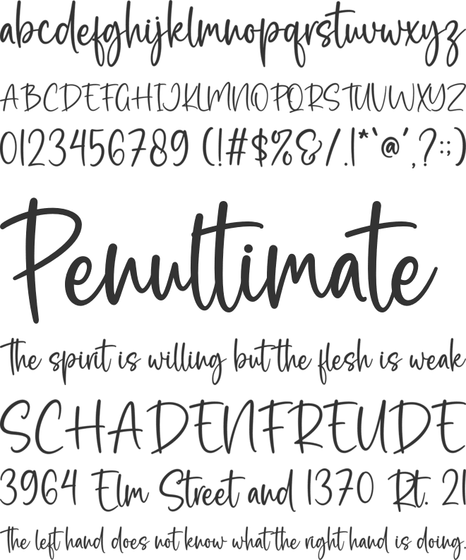 Bella Vista font preview