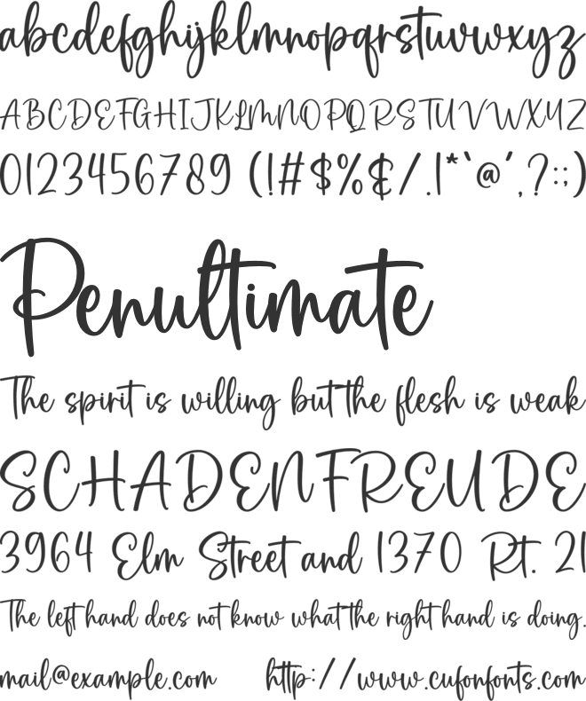 Calanthe font preview