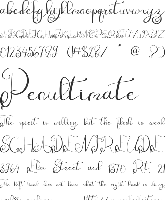 Maharani font preview