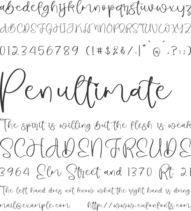 Sweet Carollina font preview