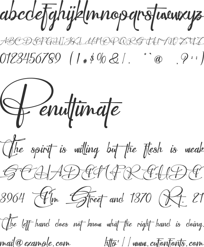 Perfect Signature - Personal us font preview