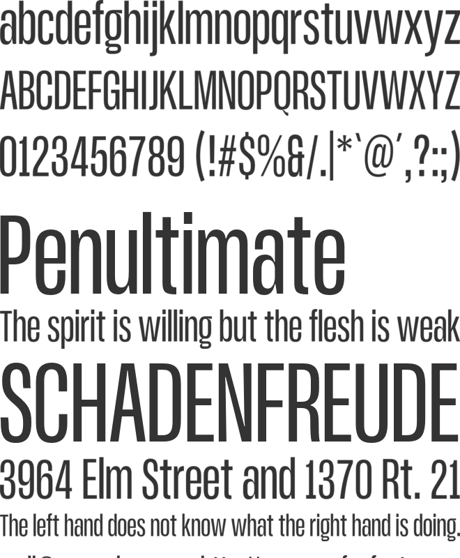 ZT Ravigsfen font preview