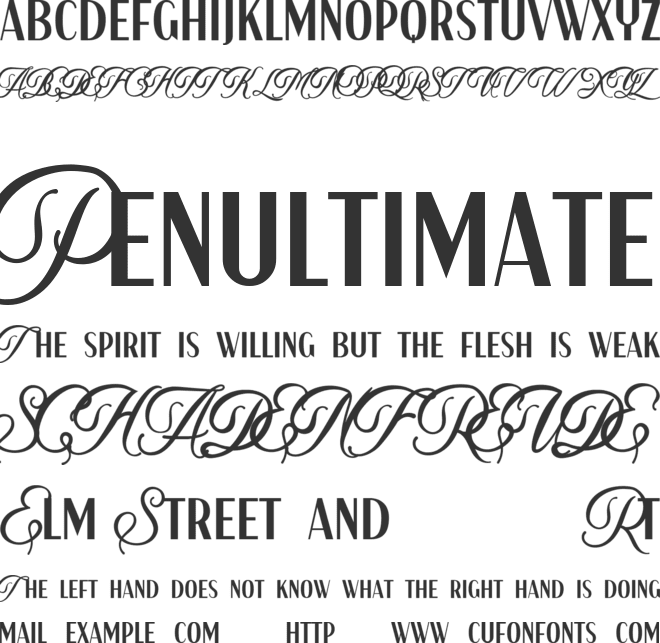 Aesthetic Solutions font preview