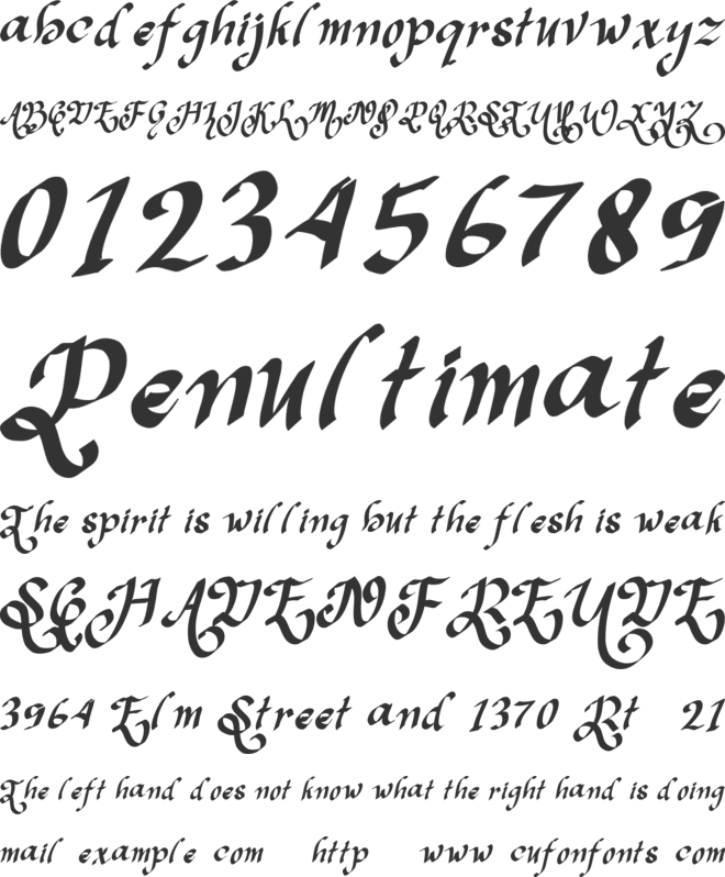 Christmas Shakila - 1 font preview