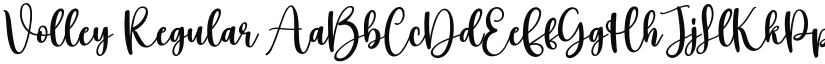 Volley font download