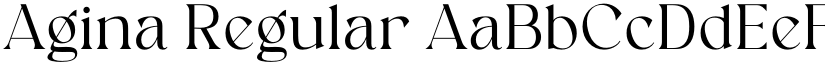 Agina Regular font
