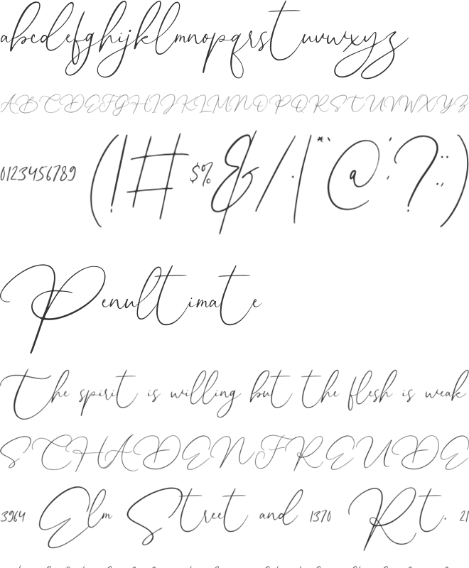 Angelica Boutique font preview