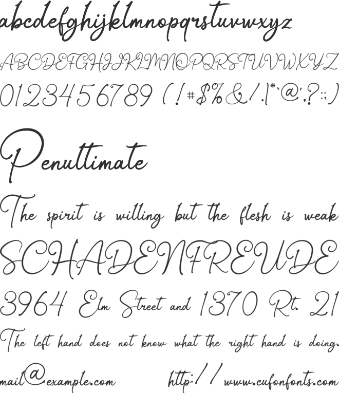 Mollina Signature font preview