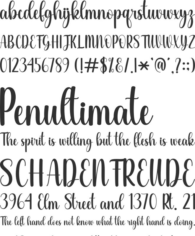 Party Wedding font preview