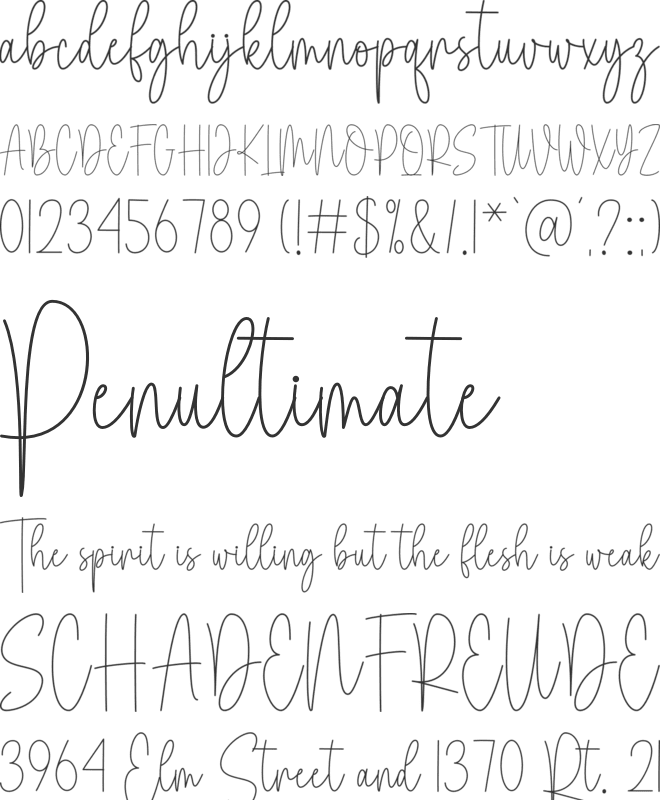 Cheescake Monoline font preview