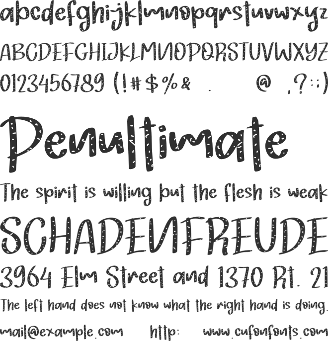 Christmas Chocho font preview