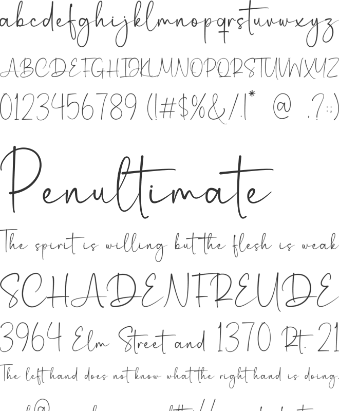 Molfetta font preview
