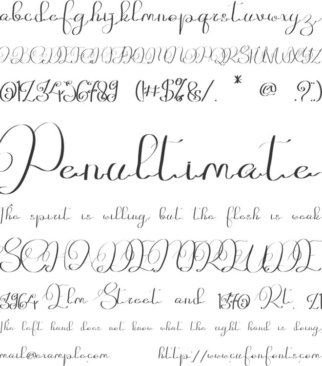 Gusty Fenti font preview