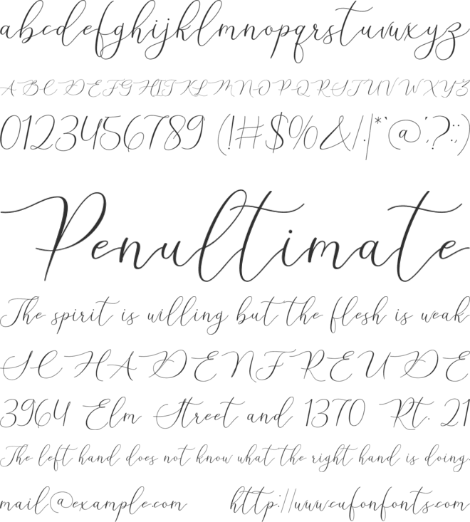 Stelly font preview
