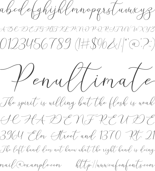 Stelly font preview