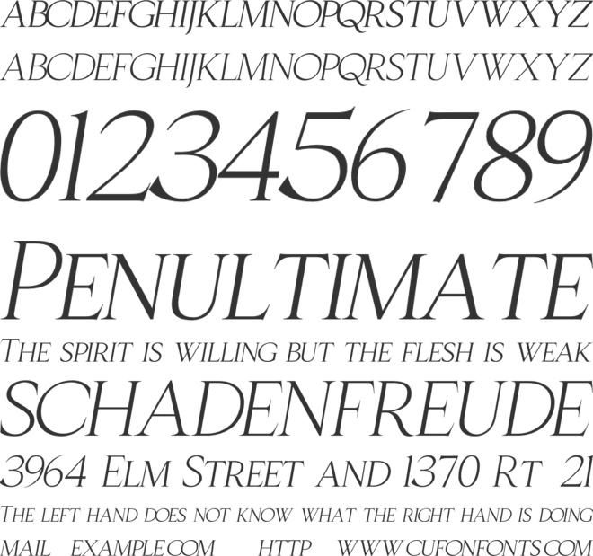 Christmas Picture font preview