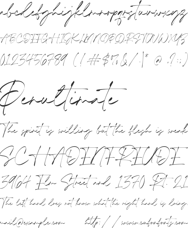 Timothea Signature font preview