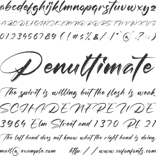Brightton Puredis font preview