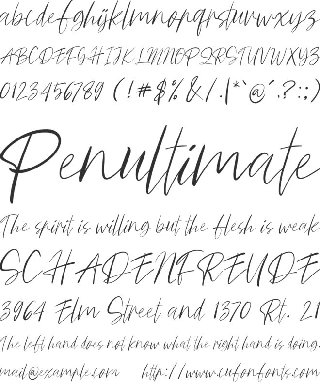 SecureSignature font preview